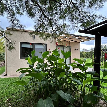 Loft Los Cerezos En Vistalba, Zona De Vinedos Y Bodegas Lujan de Cuyo Luaran gambar