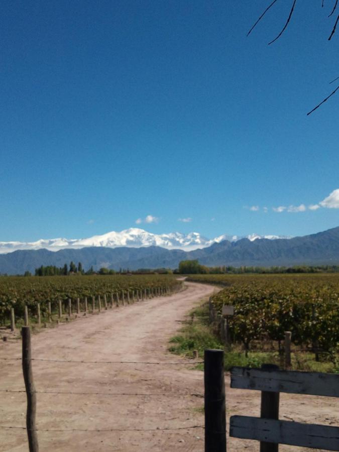 Loft Los Cerezos En Vistalba, Zona De Vinedos Y Bodegas Lujan de Cuyo Luaran gambar