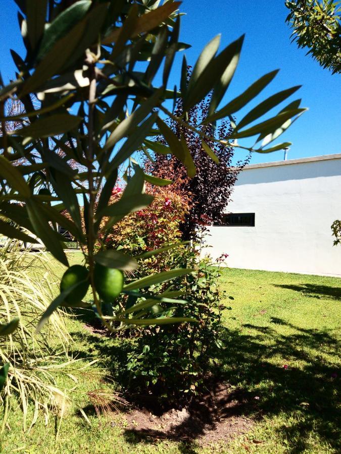 Loft Los Cerezos En Vistalba, Zona De Vinedos Y Bodegas Lujan de Cuyo Luaran gambar